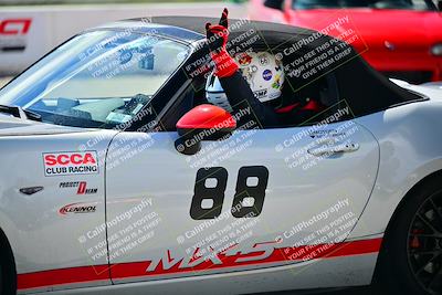 media/Mar-02-2025-Speed Ventures (Sun) [[ad7ca67825]]/Black Group/Grid/